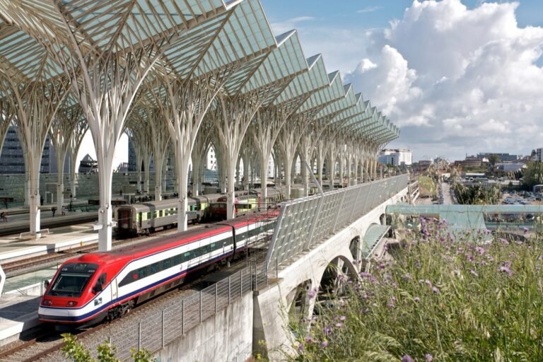Train under the white steel canopy of a large modern station.