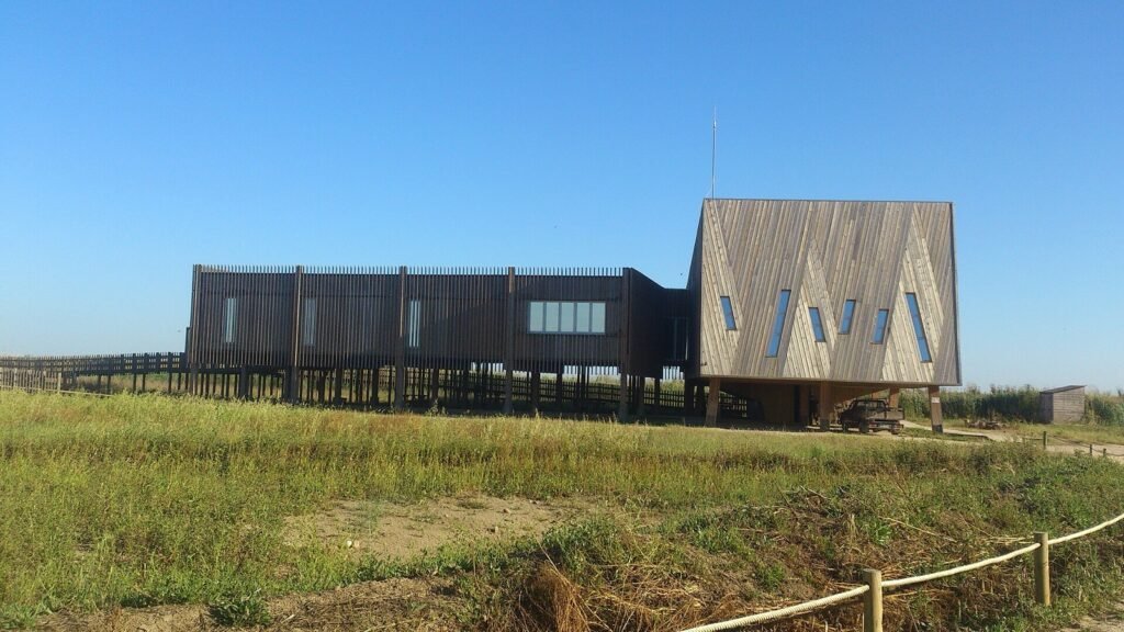 Timber-clad visitor building on stilts among flat green wetland under a clear sky.
