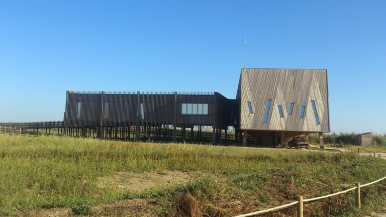 Timber-clad visitor building on stilts among flat green wetland under a clear sky.